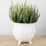 Druidenkessel Hexenkesse Schwarz Größe L – Bild 2