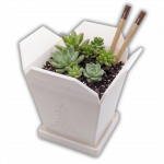 Chinesische Takeout Box Größe L mit Löchern und Untersetzer