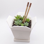 Chinesische Takeout Box Größe M mit Löchern und Untersetzer – Bild 3