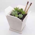 Chinesische Takeout Box Größe M mit Löchern und Untersetzer