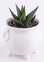 Naturalspring Druidenkessel Hexenkesse Schwarz Größe S – Bild 2