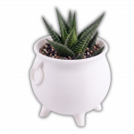 Naturalspring Druidenkessel Hexenkesse Schwarz Größe S