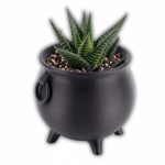 Naturalspring Druidenkessel Hexenkesse Schwarz Größe S