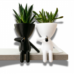 Little Roberts Töpfchen Pflanzentopf (2 Stück)