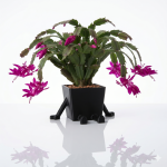 Pflanzentopf mit Beinen und Armen Schwarz – Bild 2