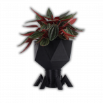 Virus Pflanzentopf Escherichia Virus T4 Schwarz Größe L